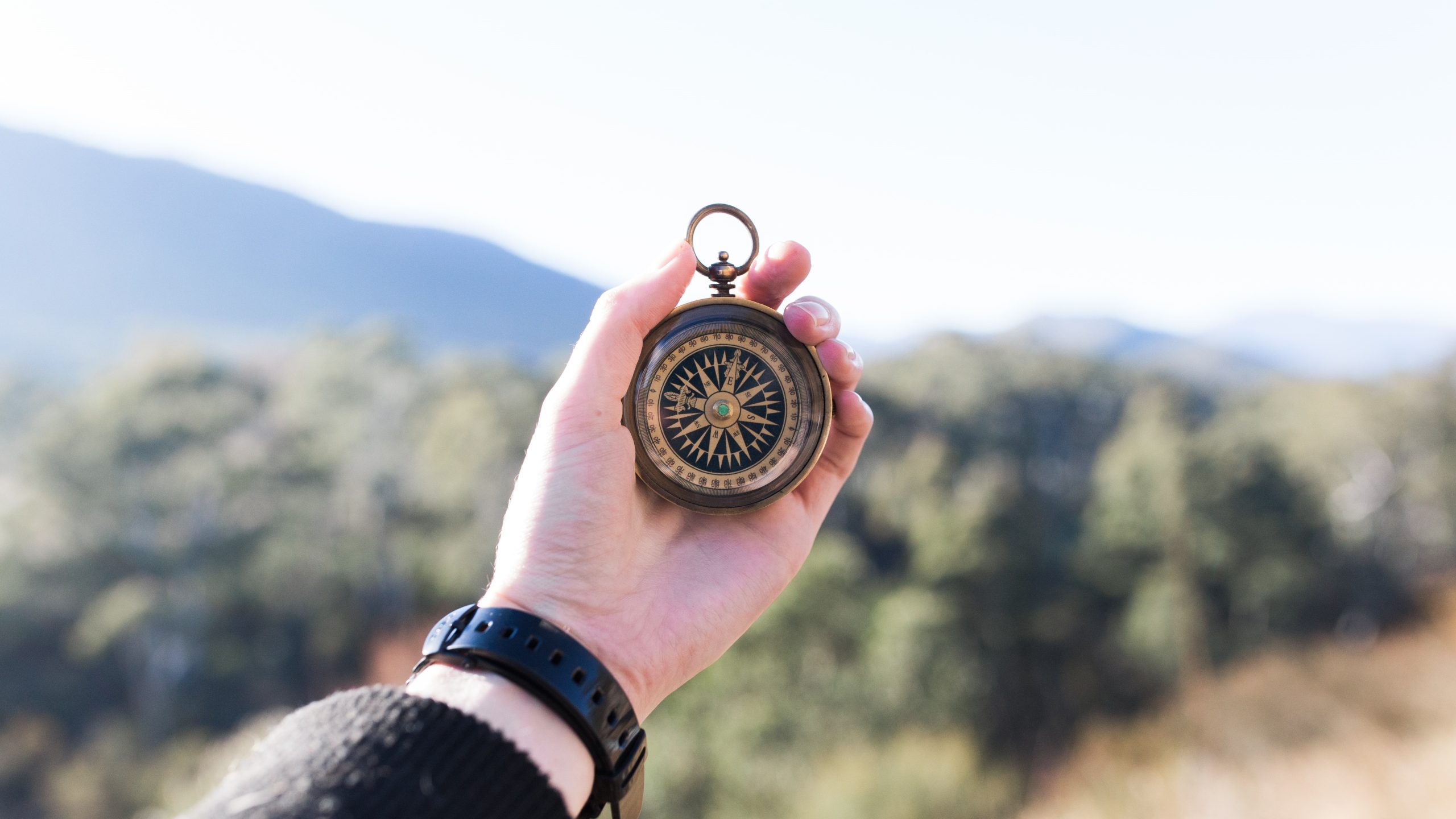 Compass-banner-scaled